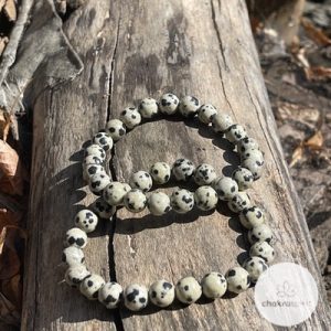 Dalmatiër Jaspis kralenarmband 8mm