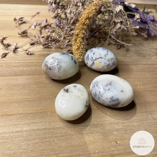 Dendriet Agaat trommelsteen - Madagaskar