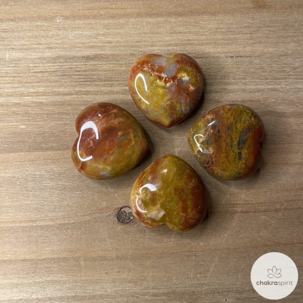 Versteend hout hart - 30 mm