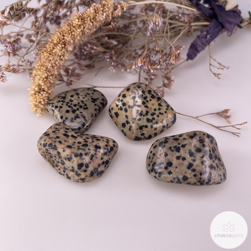 Dalmatiër Jaspis trommelsteen - Zuid-Afrika