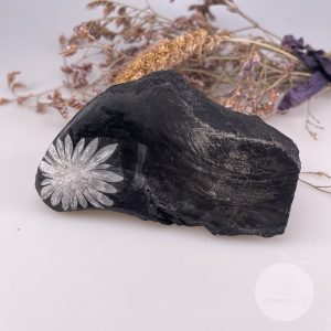 Chrysant steen ruw – 242gr