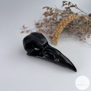 Zwarte Obsidiaan kraaienschedel