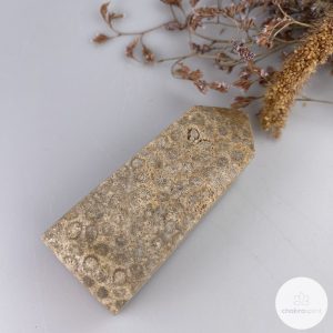 Fossiel Koraal punt - 176gr