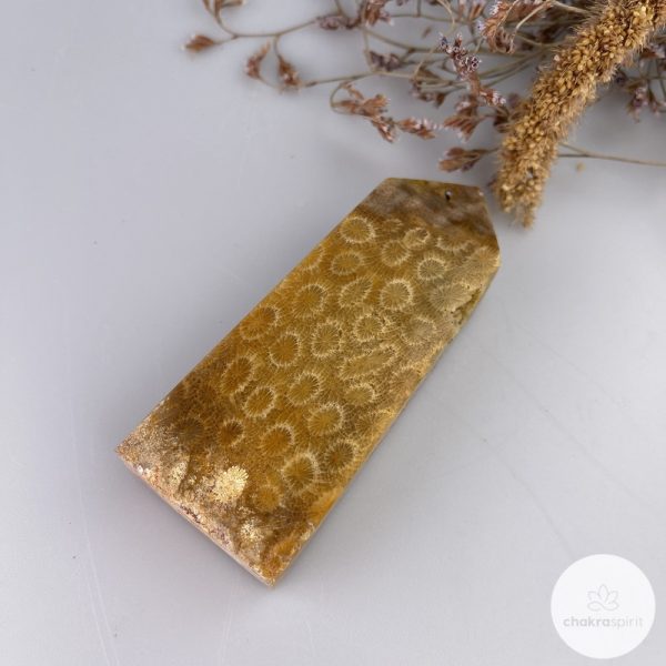 Fossiel Koraal punt - 168gr