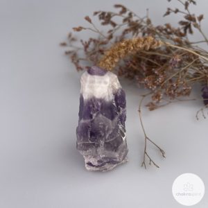 Amethistkwarts/Chevron Amethist punt – Brazilië – 88gr