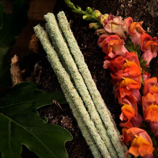 Wierook Botanico Groene Thee en Champabloem - Sagrada Madre 40 Wierook Botanico Groene Thee en Champabloem - Sagrada Madre