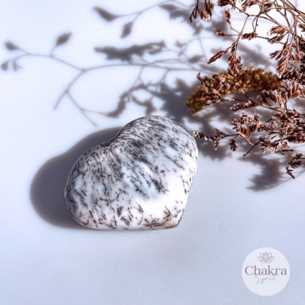 Dendriet Agaat hart - 166gr