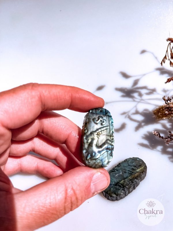 Labradoriet sterrenbeeld Steenbok