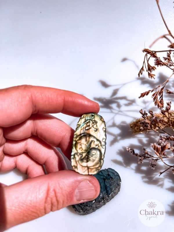 Labradoriet sterrenbeeld Vissen