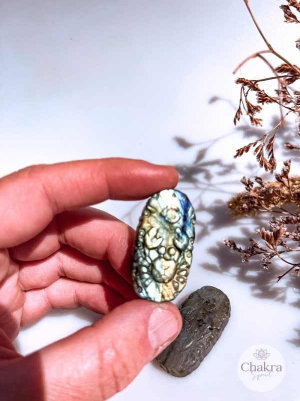 Labradoriet sterrenbeeld Kreeft