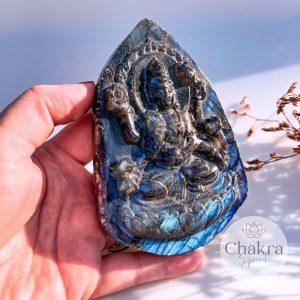 Labradoriet Shiva