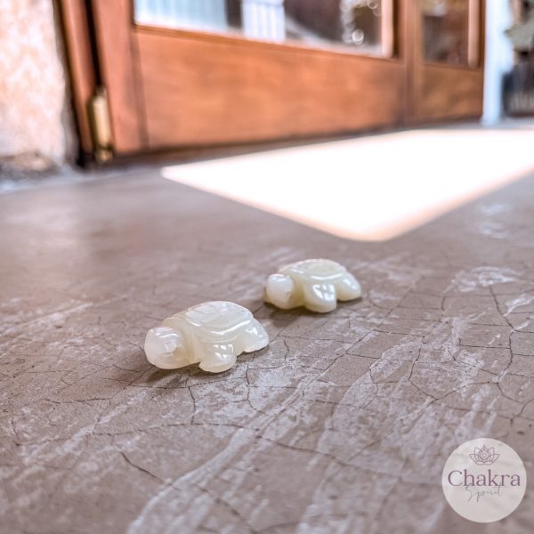 Serpentijn New Jade doorboorde hanger schildpad - China