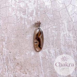 Dendriet Agaat hanger - 925 zilver