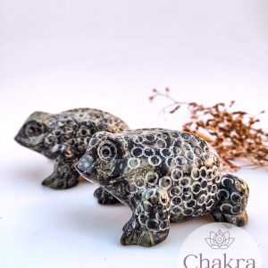 Kambaba Jaspis kikker