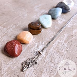 Chakra’s trommelstenen set 2 & edelsteenhouder ketting zilverkleurig (45 cm – 50 cm) Chakra’s trommelstenen set 2 & edelsteenhouder ketting zilverkleurig (45 cm - 50 cm)