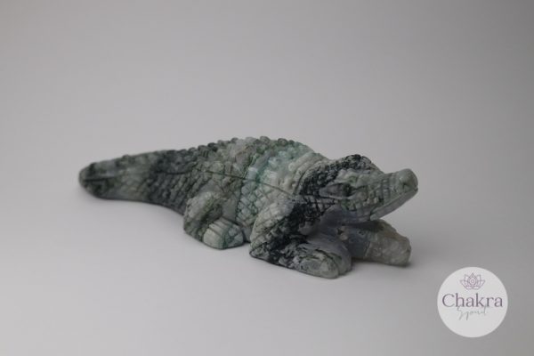 Mosagaat krokodil