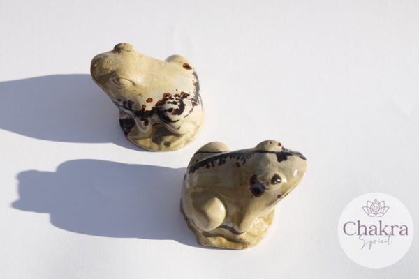 Picture Jaspis kikker