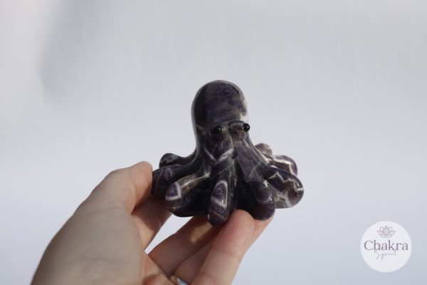 Amethistkwarts/Chevron Amethist Octopus – 194gr
