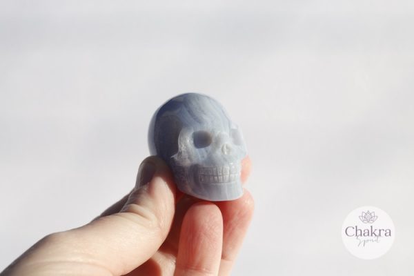 Blue Lace Agaat schedel - 68gr 43 Blue Lace Agaat schedel - 68gr