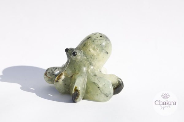 Prehniet octopus 33 Prehniet octopus