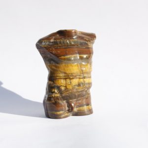 Tijgerijzer mannenlichaam