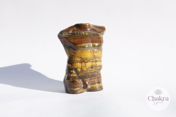 Tijgerijzer mannenlichaam 19 Tijgerijzer mannenlichaam