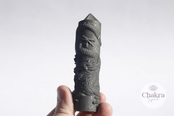 Shungiet punt met draak