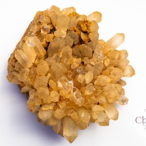 Citrien cluster - Congo - 1.250gr