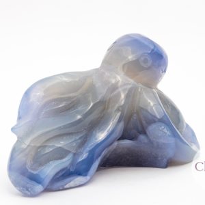 Blue Lace Agaat octopus - 382gr