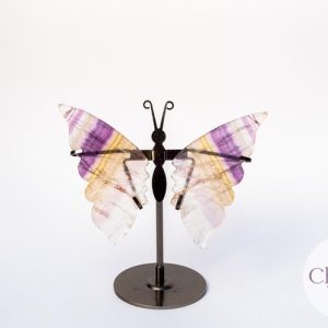 Regenboog Fluoriet vlinder