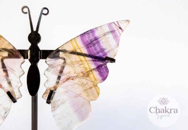 Regenboog Fluoriet vlinder 30 Regenboog Fluoriet vlinder