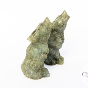 Labradoriet wolf – 70 mm Labradoriet wolf - 70 mm