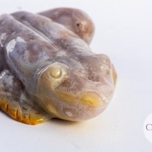 Roze Amethist met Flower Agaat kikker - 296gr