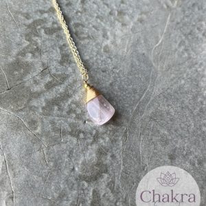 IJs Kunziet hanger met goudkleurige ketting