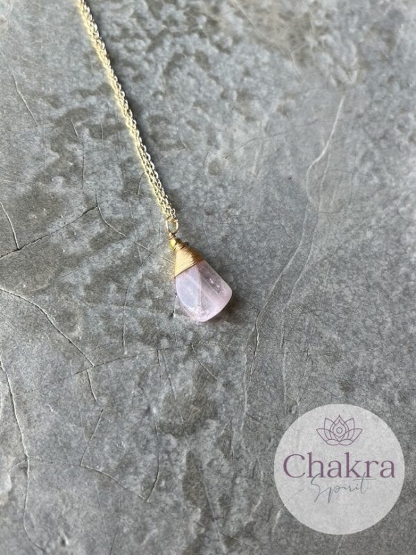 IJs Kunziet hanger met goudkleurige ketting