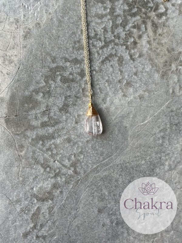 IJs Kunziet hanger met goudkleurige ketting