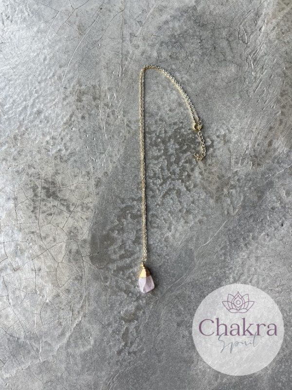 IJs Kunziet hanger met goudkleurige ketting