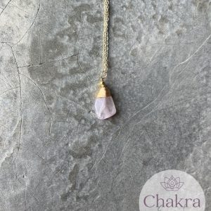 IJs Kunziet hanger met goudkleurige ketting