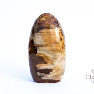 Versteend hout sculptuur - Madagaskar - 1.142gr