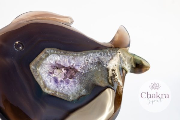 Druzy Agaat met Amethist vis - 290gr