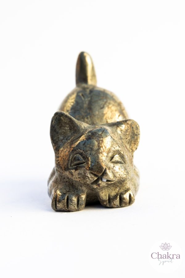 Pyriet liggende poes