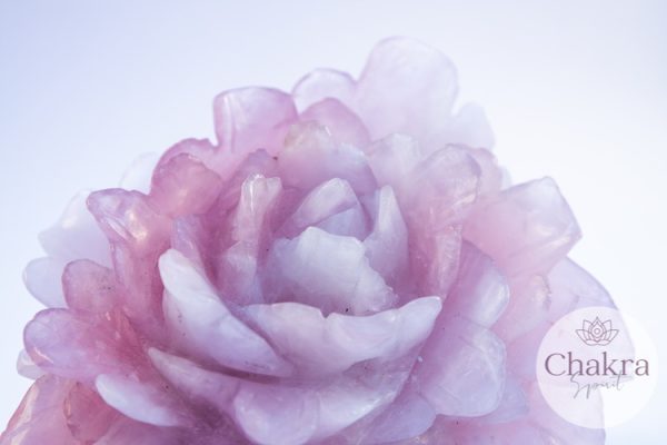 Rozenkwarts bloem - 1.488gr 9 Rozenkwarts bloem - 1.488gr