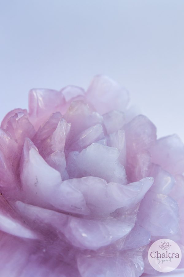 Rozenkwarts bloem - 1.488gr 8 Rozenkwarts bloem - 1.488gr