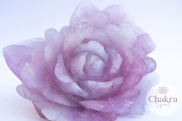 Rozenkwarts bloem - 1.488gr 7 Rozenkwarts bloem - 1.488gr