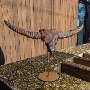 Oceaan Jaspis stierenkop