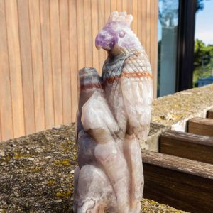 Amethist met Crazy Lace Agaat papegaai - 1.808gr