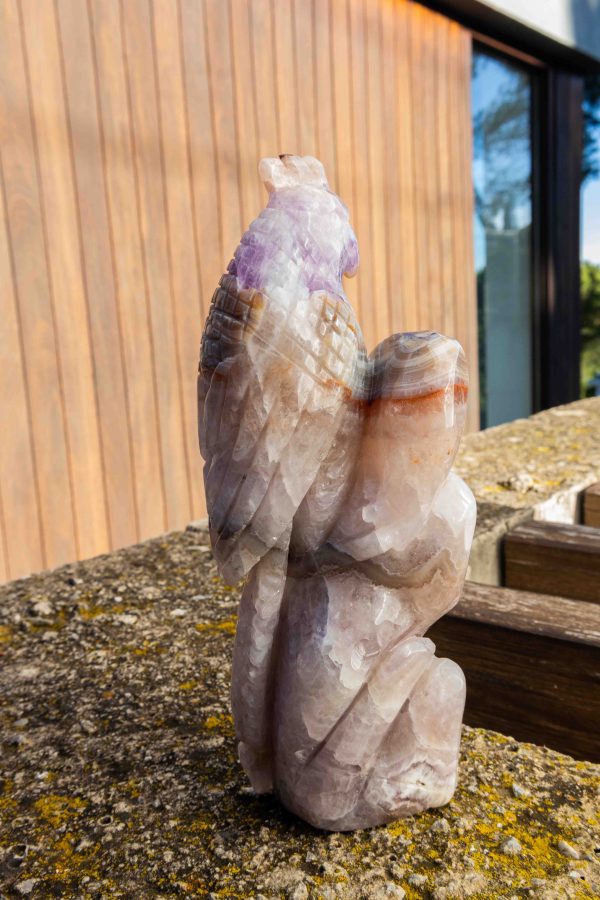 Amethist met Crazy Lace Agaat papegaai - 1.808gr 3 Amethist met Crazy Lace Agaat papegaai - 1.808gr