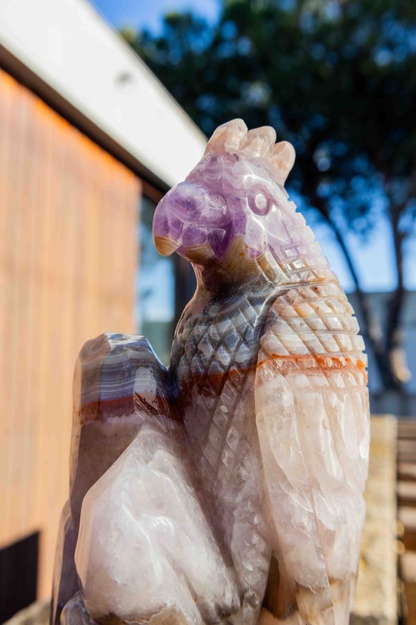 Amethist met Crazy Lace Agaat papegaai - 1.808gr 5 Amethist met Crazy Lace Agaat papegaai - 1.808gr