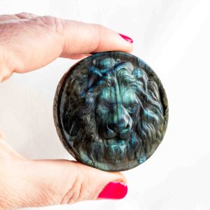 Labradoriet talisman leeuw