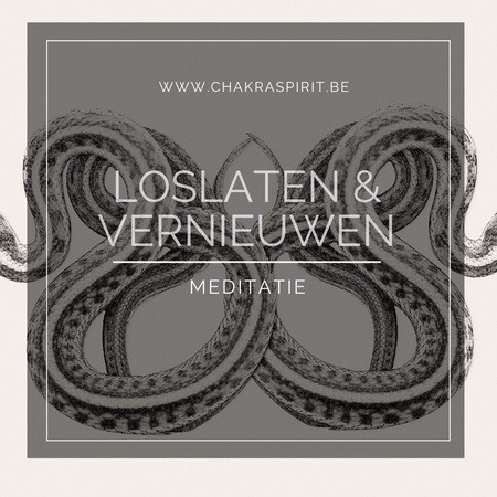 Soul Alchemy: De Kracht van Innerlijke Transformatie Meditaties 8 Soul Alchemy: De Kracht van Innerlijke Transformatie Meditaties